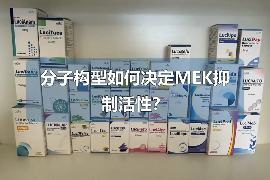 分子构型如何决定MEK抑制活性？